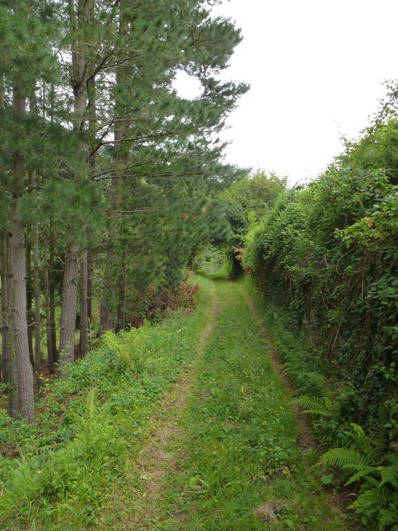 Viviendas Rurales Aldea De Dosamantes Pesaguero-La Parte Exteriör bild