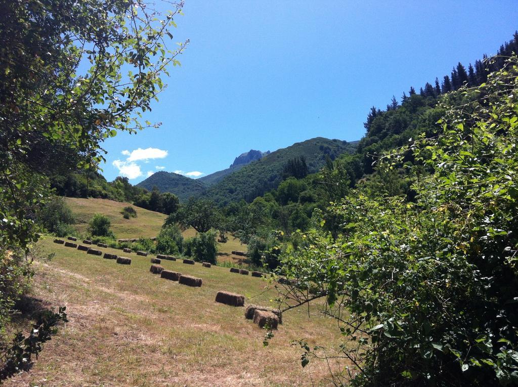 Viviendas Rurales Aldea De Dosamantes Pesaguero-La Parte Exteriör bild